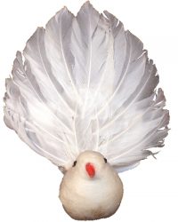 5" White Artificial Robin- 1 Dozen- B2405WHT