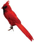 6.5" Artificial Cardinal- Sitting- Pack of 1 doz- B270 <br><br>Available February, 2023