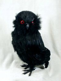 13" BLACK FEATHER STANDING OWL- Each- B66047