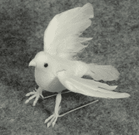 3" Flocked Dove- Box of 1 Dozen- B-103