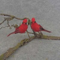 5" MUSHROOM CARDINAL on Clip, 2 Poses- Box of 2 Dozen