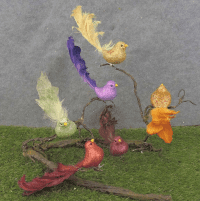 9" Glitter Bird with Long Tail, 6 Assorted Colors- Box of 6