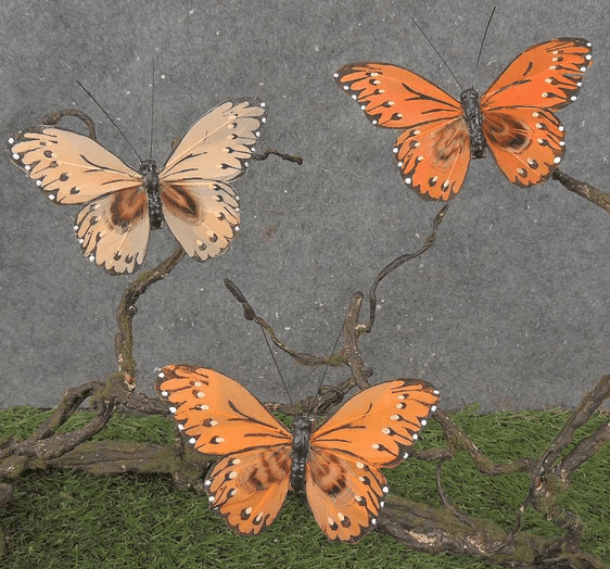 Orange Mix
