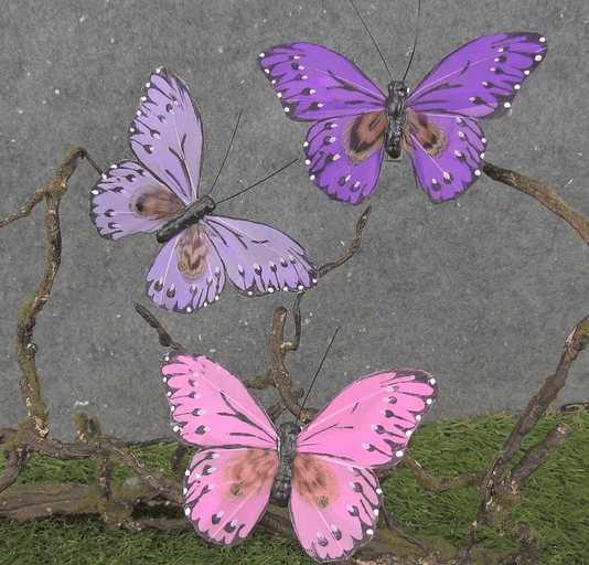 Pink/Purple