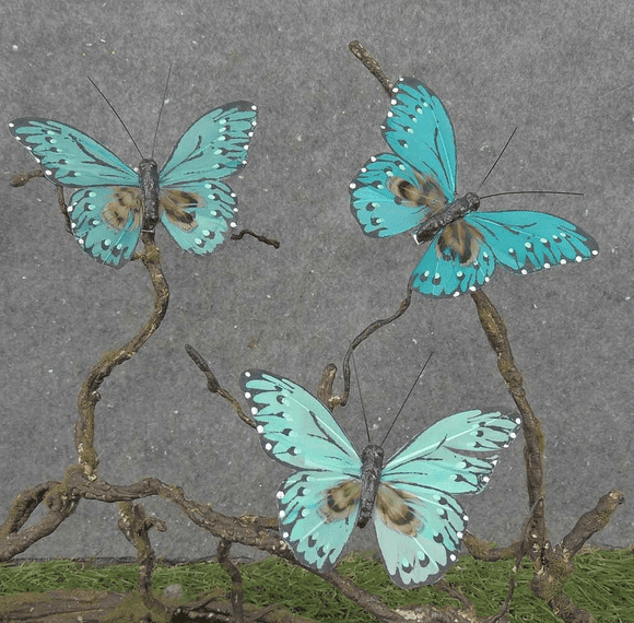 Teal Mix