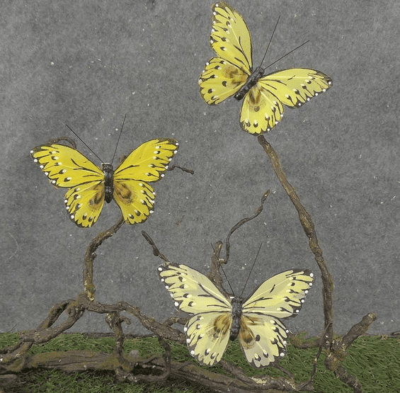 Yellow Mix