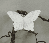 4.5" White Mica Artificial Butterfly With Wire, Box of 2 Dozen- BN94602MI-DWHT