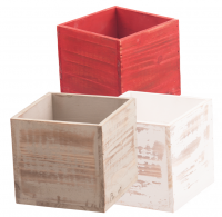 4X4 Assorted 3 Color Wood Box , case of 48