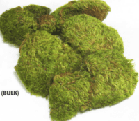 Mood Moss, Bulk, 1.6 Cu Ft