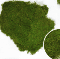 SCHU Preserved Sheet Moss, Bulk, 6.6 Lbs