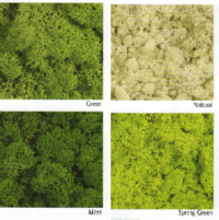 SCHU-Reindeer Moss