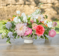 SYND-DEMI Footed Bowls-Stoneware/Polypropylene Resin Series