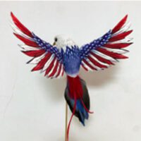 American Eagle Pick, Box of 6 - BN2024-Series